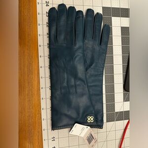 Coach Gloves